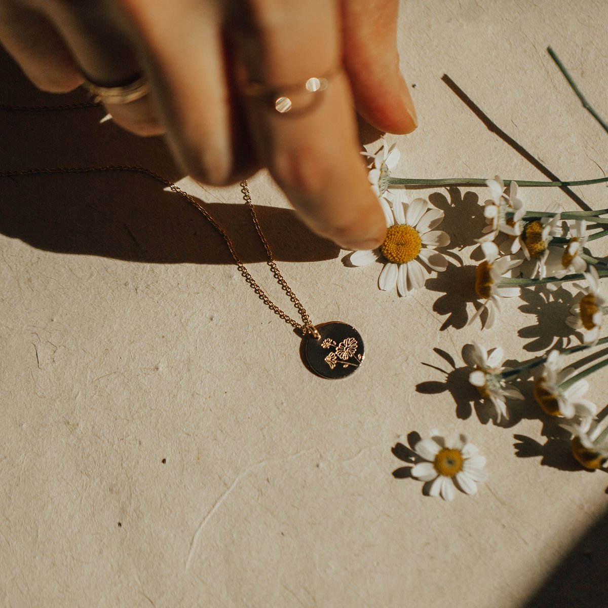 April Birth Flower - Daisy